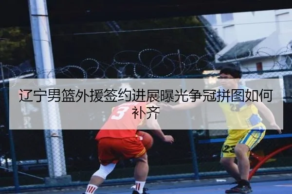 辽宁男篮外援签约进展曝光争冠拼图如何补齐
