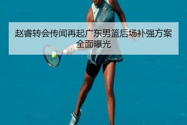 赵睿转会传闻再起广东男篮后场补强方案全面曝光