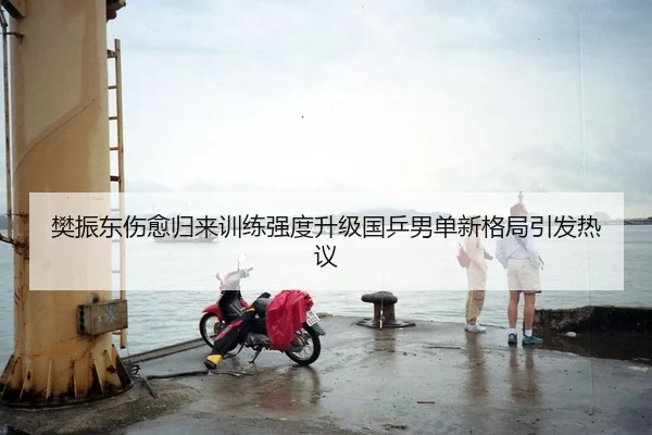 樊振东伤愈归来训练强度升级国乒男单新格局引发热议